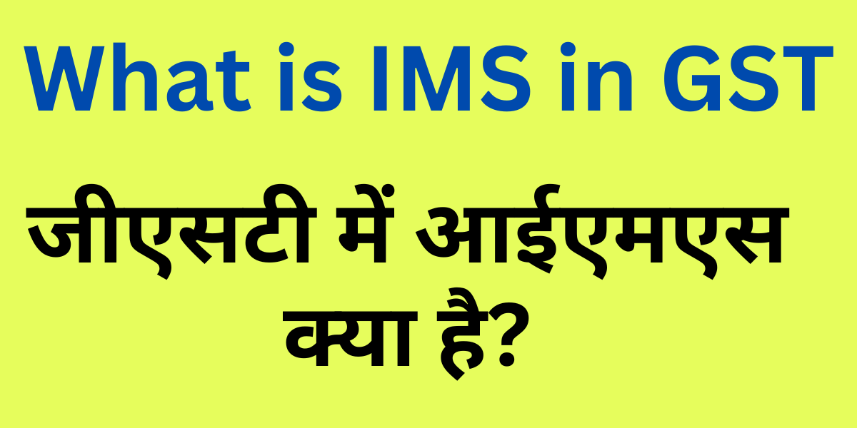 What is IMS in GST